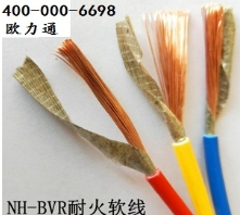 34phpVNI5FE1730425147241101.png