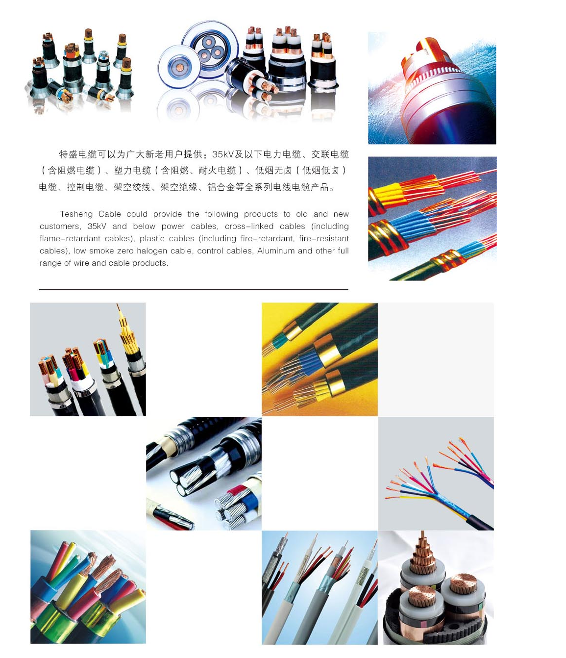 19phpD5OmE31758719984250924.png