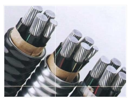 41phpUlL2Zd1762306510251105.png 41phpUlL2Zd1762306510251105.png