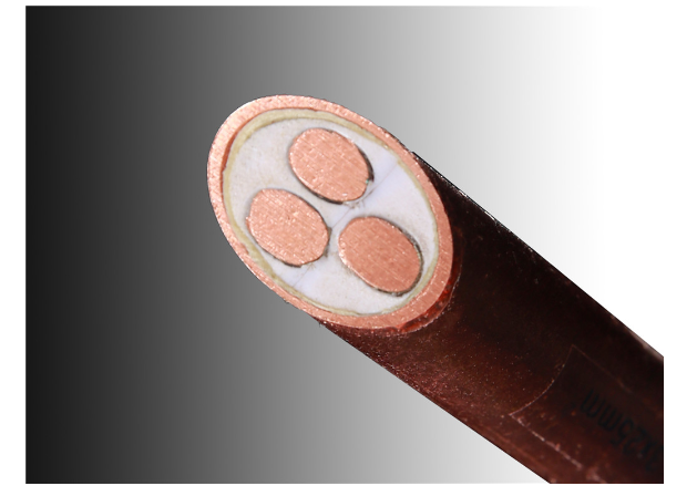 24phpaKWYwe1762486312251107.png 24phpaKWYwe1762486312251107.png