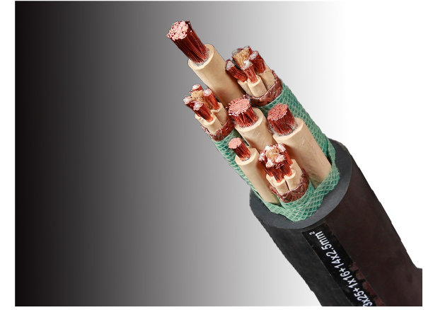 57phpRdCyDC1762486546251107.png 57phpRdCyDC1762486546251107.png