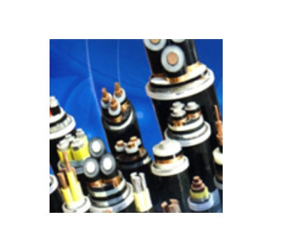 21phpEuMwxx1763356904251117.png 21phpEuMwxx1763356904251117.png