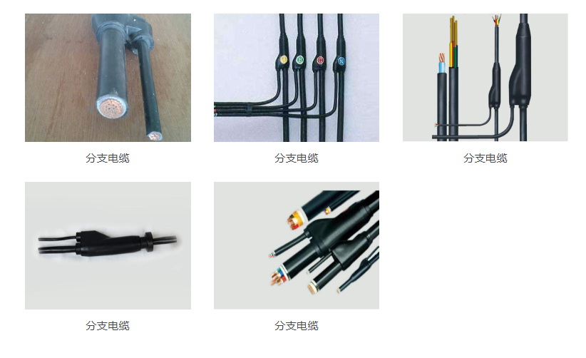 55phpRSFGY31763974763251124.png 55phpRSFGY31763974763251124.png