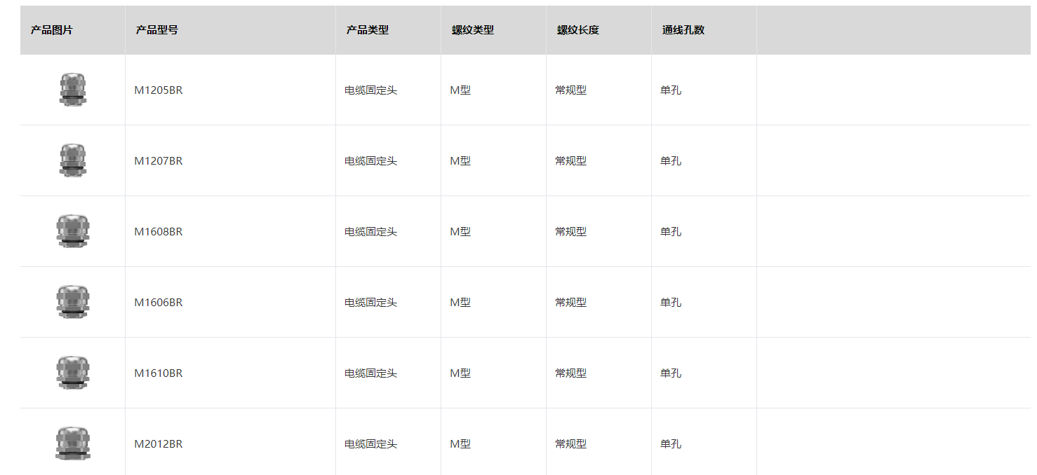 9php80thbC1764143883251126.png 9php80thbC1764143883251126.png