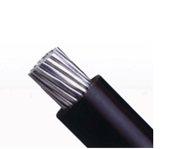 8phpv00BKX1769418461260126.png 8phpv00BKX1769418461260126.png