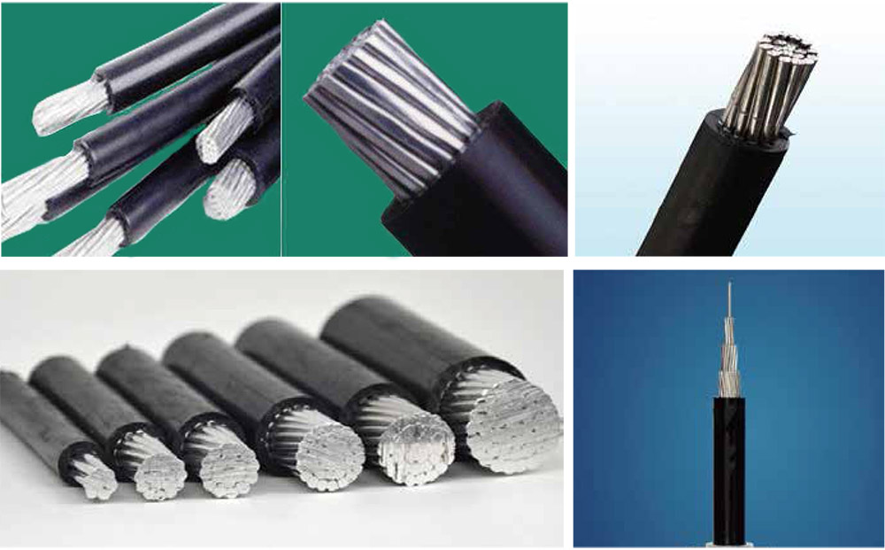 50phpYl8cI21773364819260313.png 50phpYl8cI21773364819260313.png