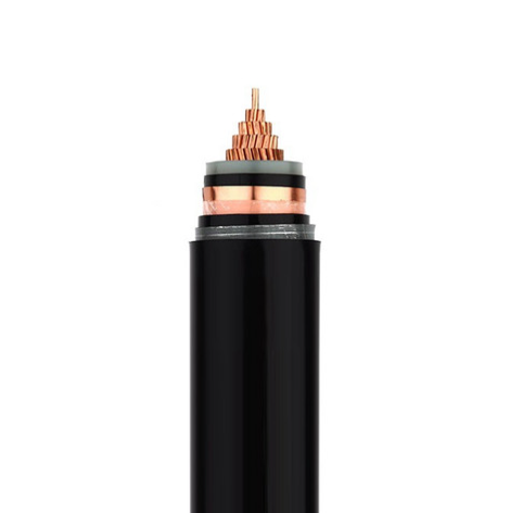 62phphmf8eu1773364186260313.png 62phphmf8eu1773364186260313.png