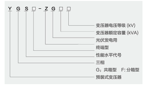 10phptkcGxo1782909865260701.png