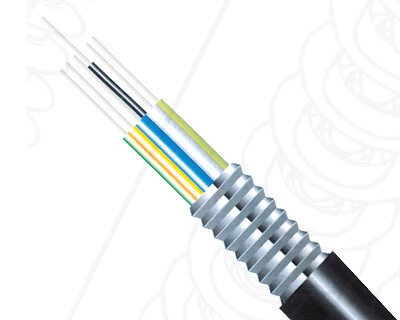 55phpFdV9Yx1789458746260915.png