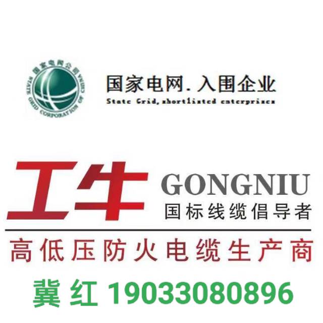 觅特友