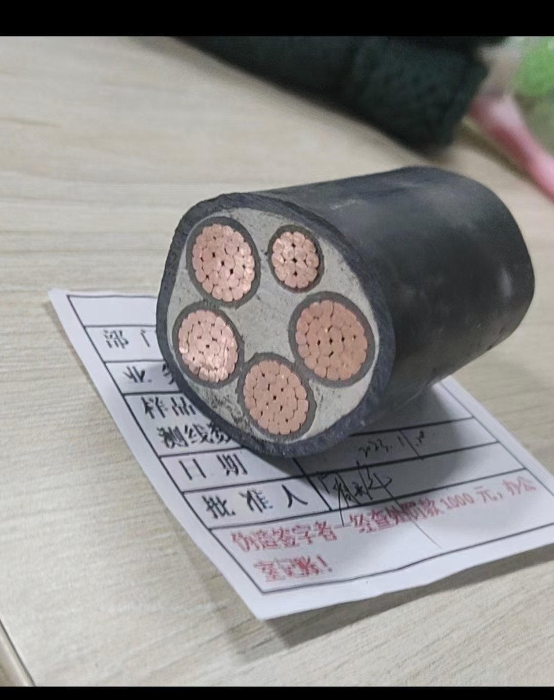 觅特友
