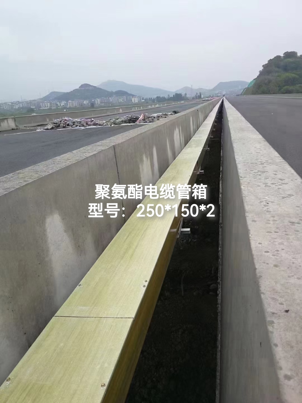 觅特友