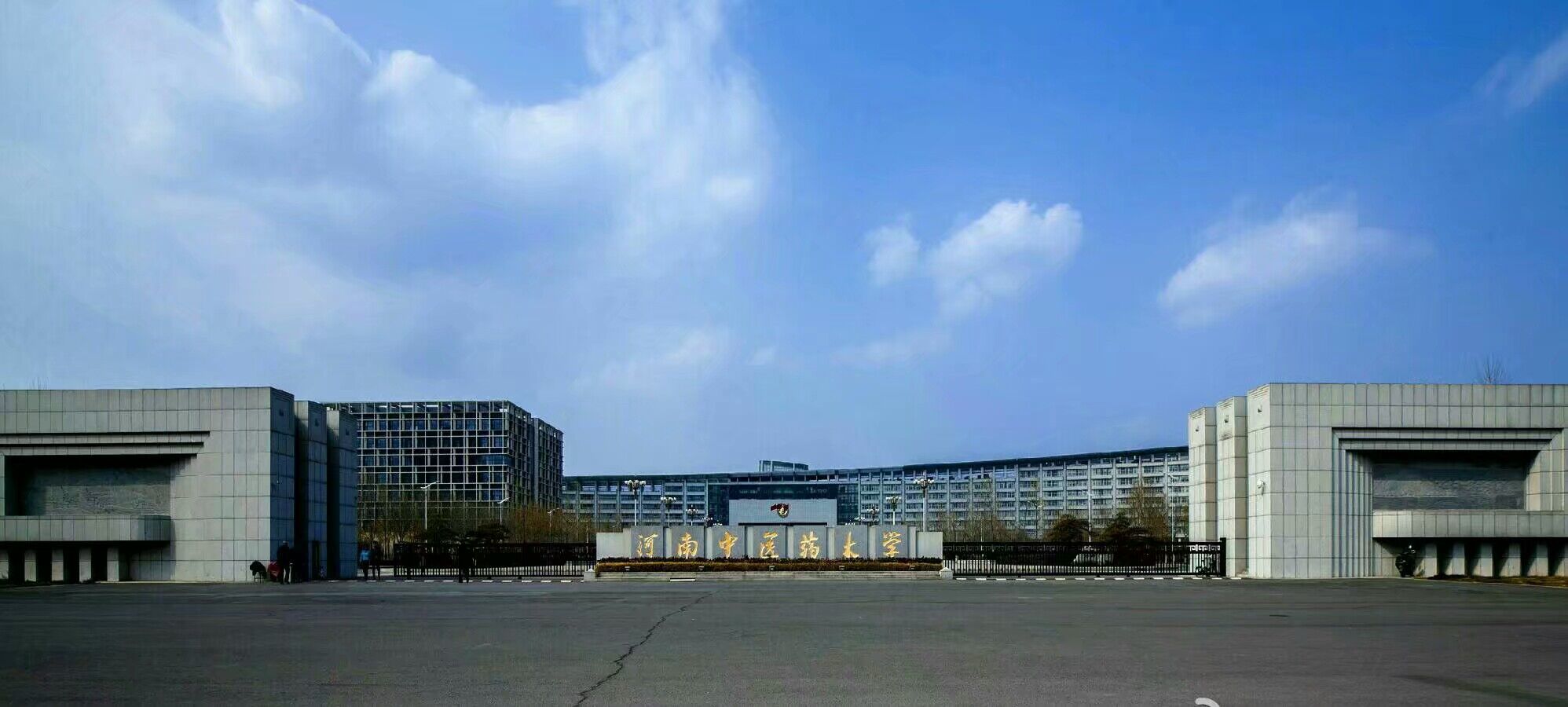 觅特友