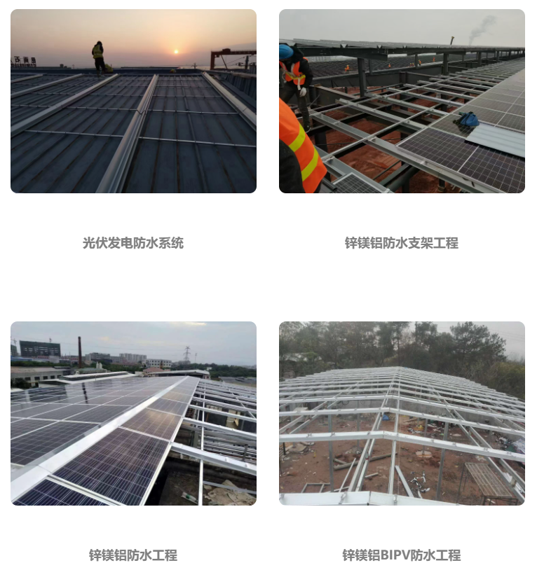 觅特友