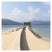 觅特友