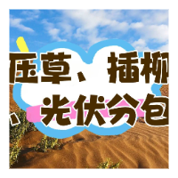 觅特友