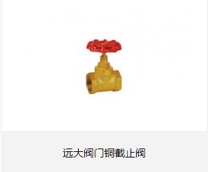 觅特友